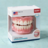 ROSOPL™ Multi-Functional Shaping Silicone Denture Set